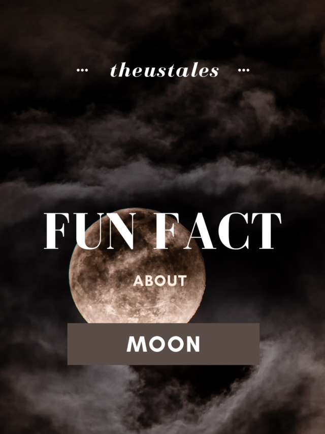 Fun Facts About MOON