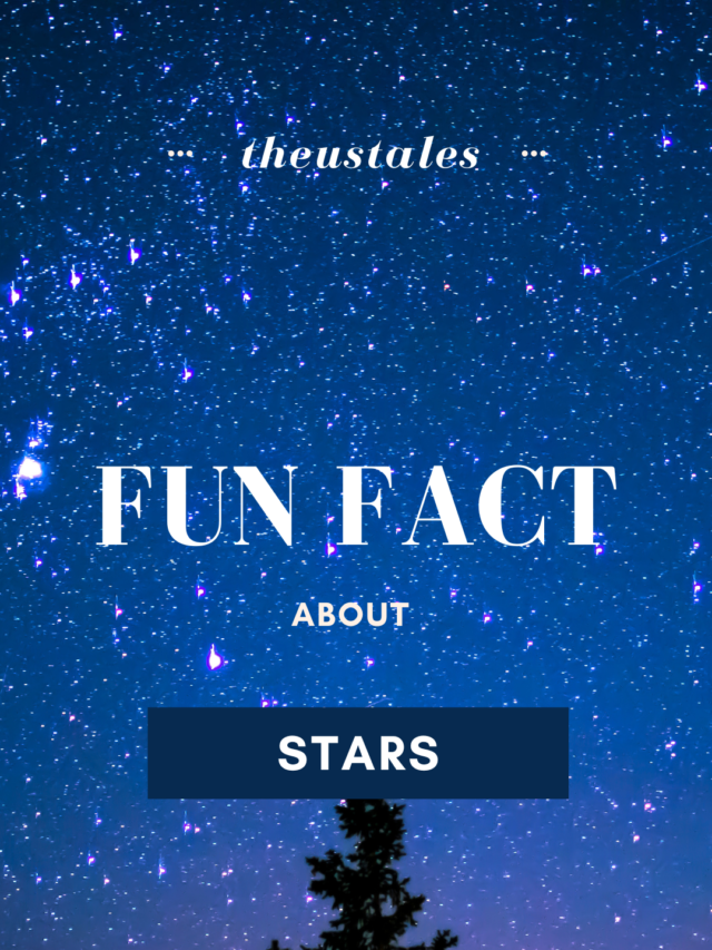 Fun Facts About STARS